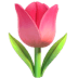 :tulip: :tulip:
