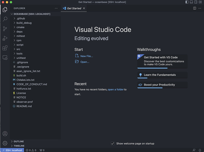 vscode打开代码目录